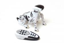 EH BU FİYAT GİDER ARTIK!!!ROBOPET HERŞEYİ YAPAN ROBOT KÖPEK ŞOK FİYATA ORJİNAL!!
