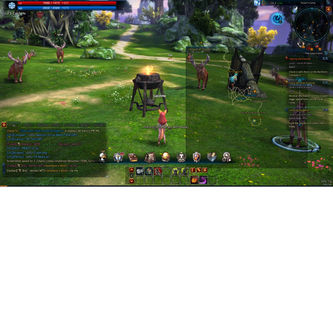 tera pvp server