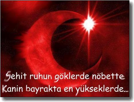««« DH TOFAŞ KUŞ SERİSİ GENEL »»»