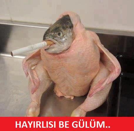  Yıl olmuş 2012 elf dili bilmeyen var