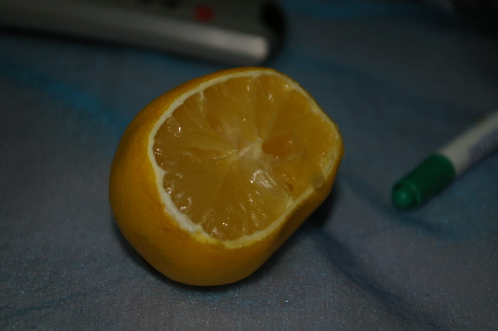  K100D İçin Makro Lens Önerisi