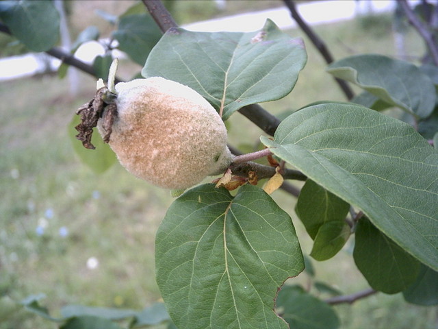  EN GÜZEL MAKROLAR BURAYA  ---S.E-----