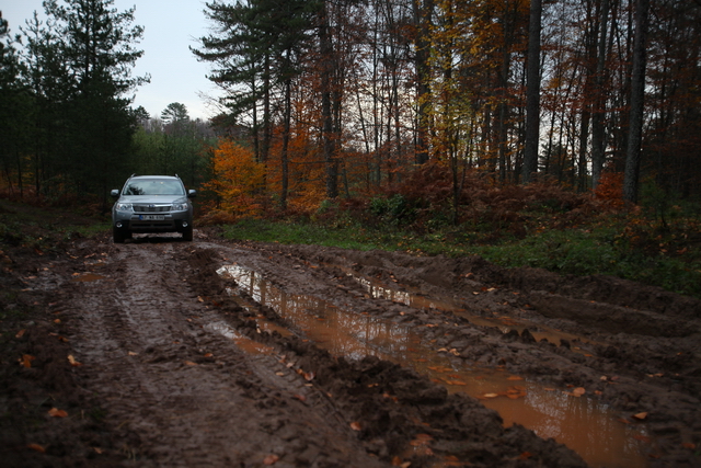  Corolla gitti, Forester geldi.(Yeni Fotoğraflar+Videolar))