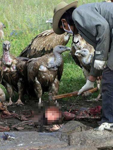  Tibetlilerin Akbabalara Ölü Yedirme Albümü (øØ)
