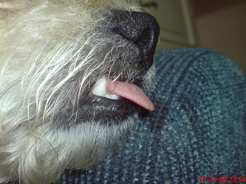  ===>3,2MPLİ k770/K790/K810/C510/P1 FOTOĞRAF PAYLAŞIM ARENASI<===