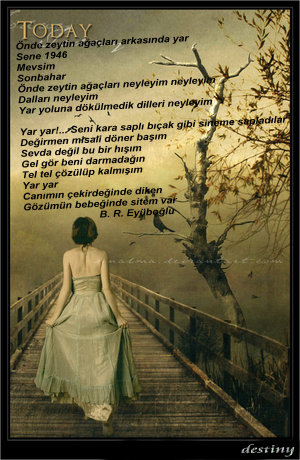  made by destiny :))