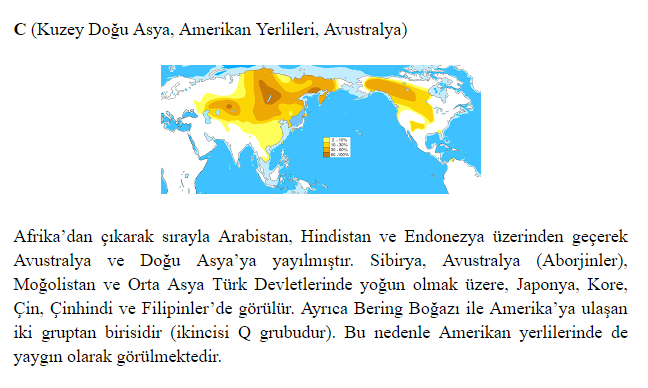  JAPONLARIN VE KORELİLERİN TÜRK OLDUĞU GERÇEĞİ!