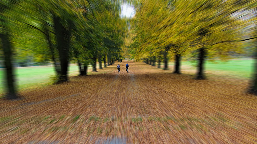  Bahçeköy'de bulunan Atatürk Arboretumu