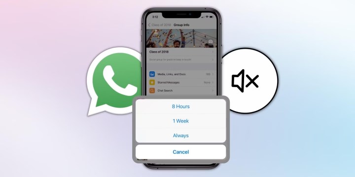 WhatsApp bildirim gelmiyor kesin çözümü (iPhone & Android)