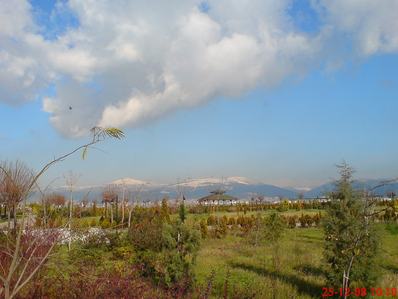  ===>3,2MPLİ k770/K790/K810/C510/P1 FOTOĞRAF PAYLAŞIM ARENASI<===