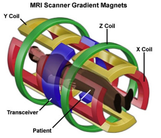 Градиент магнитного поля. Градиентное магнитное поле в мрт. Градиентные катушки мрт. Градиент магнитного поля мрт. Градиентные поля в мрт.