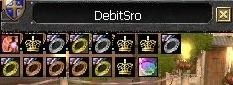  Debit Silkroad %100 PVP SERVER/FreeHonor/FreeSilk/+Basma Yok!