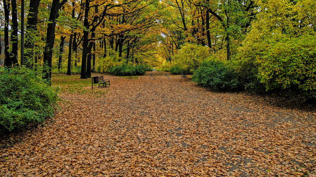  Bahçeköy'de bulunan Atatürk Arboretumu