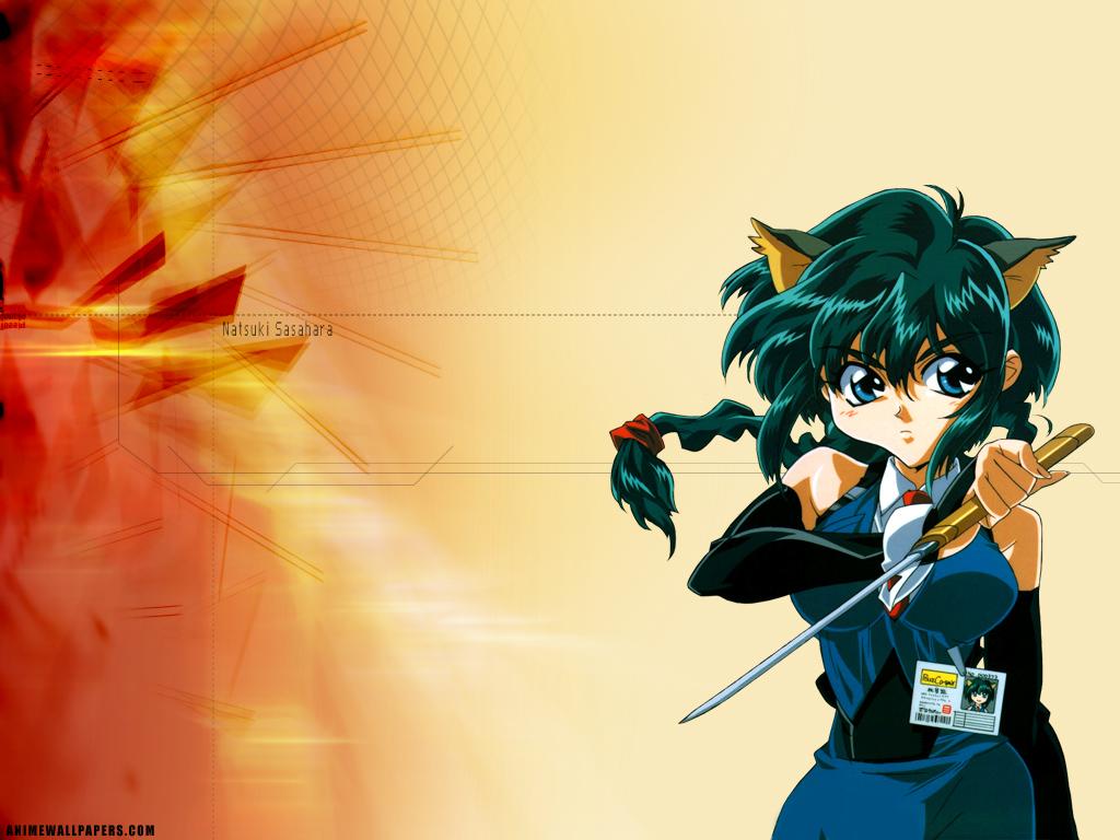  Anime Wallpapers..