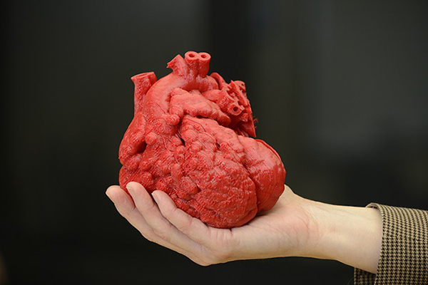 Üç boyutlu yazıcıyla üretilen kalp modeli ile operasyon öncesi hazırlık yapılabilecek