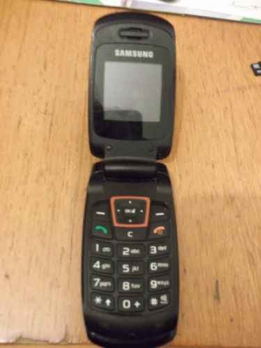  SAMSUNG SGH-C260