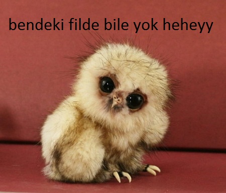  yeni gif ve kızların yeni yedek sevgilisi mıho