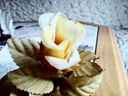  ===>3,2MPLİ k770/K790/K810/C510/P1 FOTOĞRAF PAYLAŞIM ARENASI<===