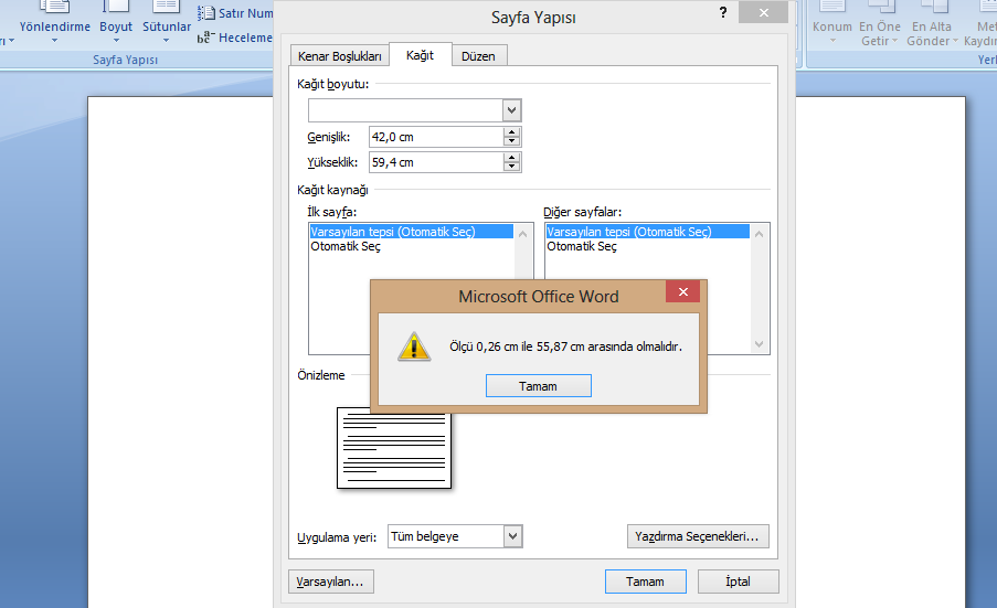 Microsof Word'den anlayan varsa acil yardım lazım