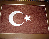  Akıttıkları kanlarıyla Türk Bayrağı yaptılar
