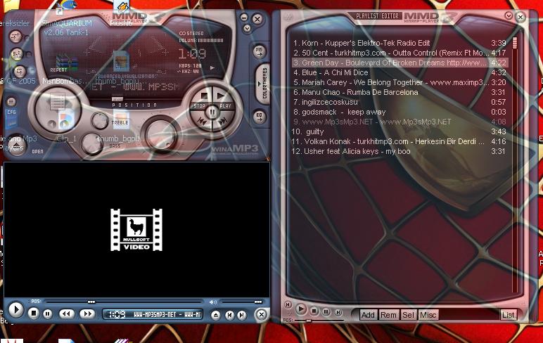  ::WINAMP 5 İÇİN HARİKA SKIN'LER VE 3D SES::