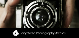  Sony Dünya Fotoğraf Ödülleri