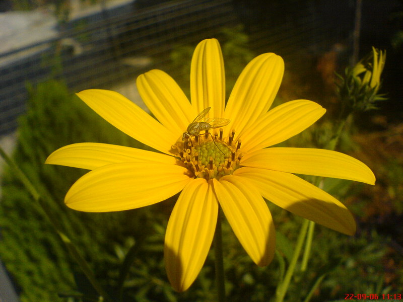  EN GÜZEL MAKROLAR BURAYA  ---S.E-----