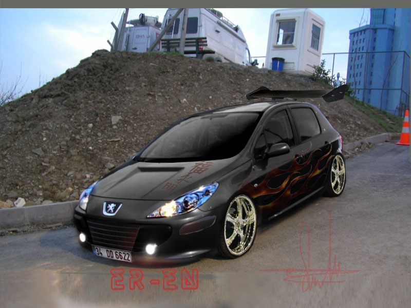 Peugeot 307 в камуфляже