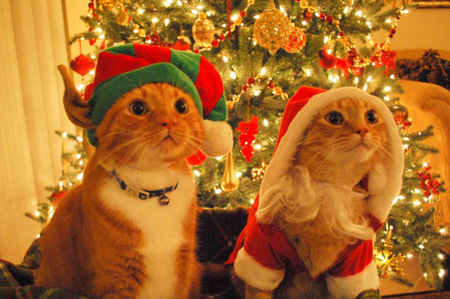  Bazen sadece noel baba olmak istersin. Mutlu yıllar!
