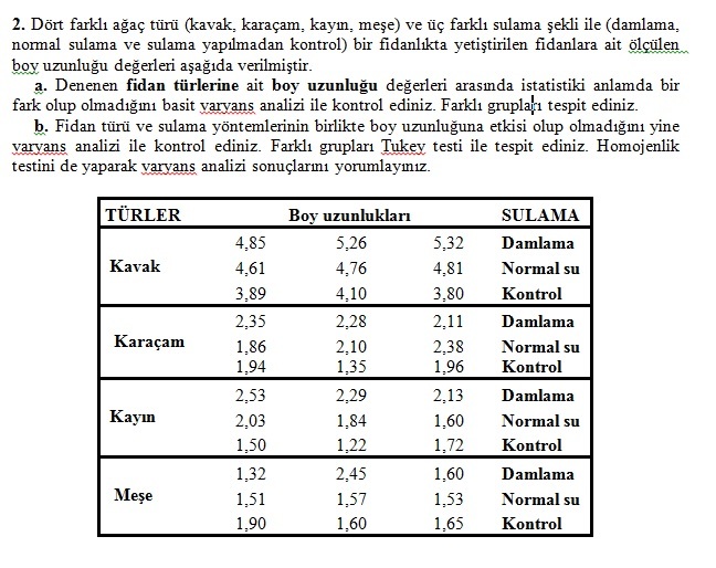  SPSS bilen var mı?