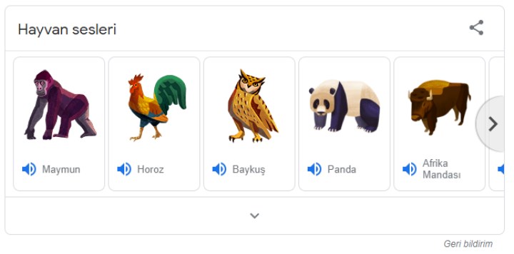 Google'ın gizli arama hilelerini biliyor muydunuz? İşte birbirinden eğlenceli o özellikler