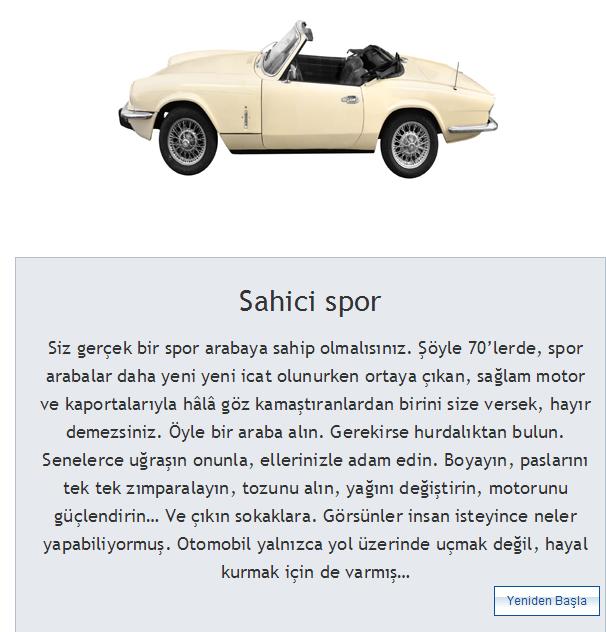  Nasıl bir arabanız olmalı?