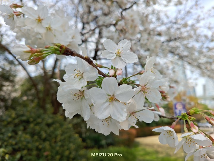 Meizu 20 Pro kamerasından gelen ilk fotoğraflar hayal kırıklığı yarattı