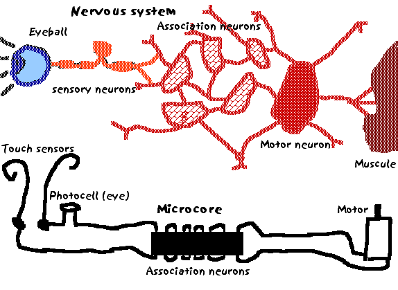 Associated system