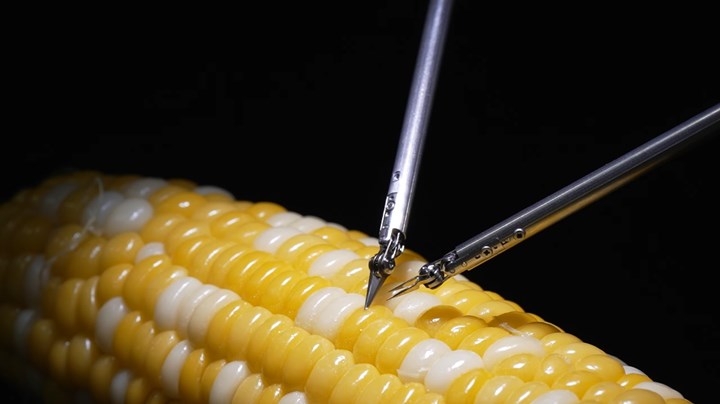 Sony’nin ultra hassas mikrocerrahi robotu mısır tanesini dikebiliyor
