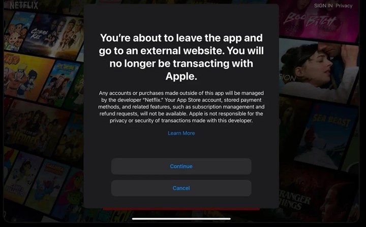Netflix uygulaması nihayet App Store komisyonlarından kurtuluyor