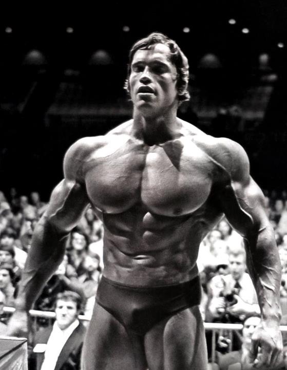  Hercules in New York