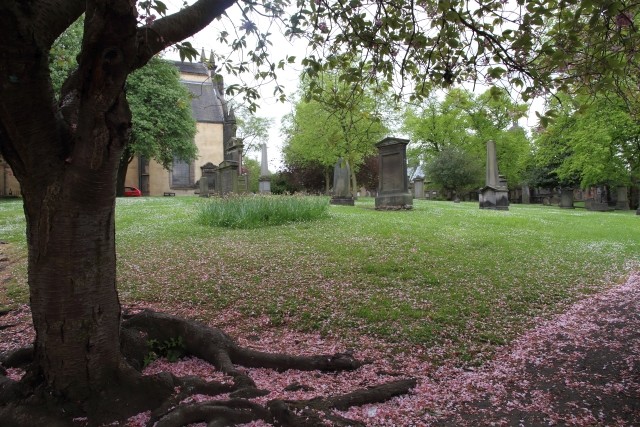  Edinburgh (İskoçya) - Londra Seyahat Notlarım