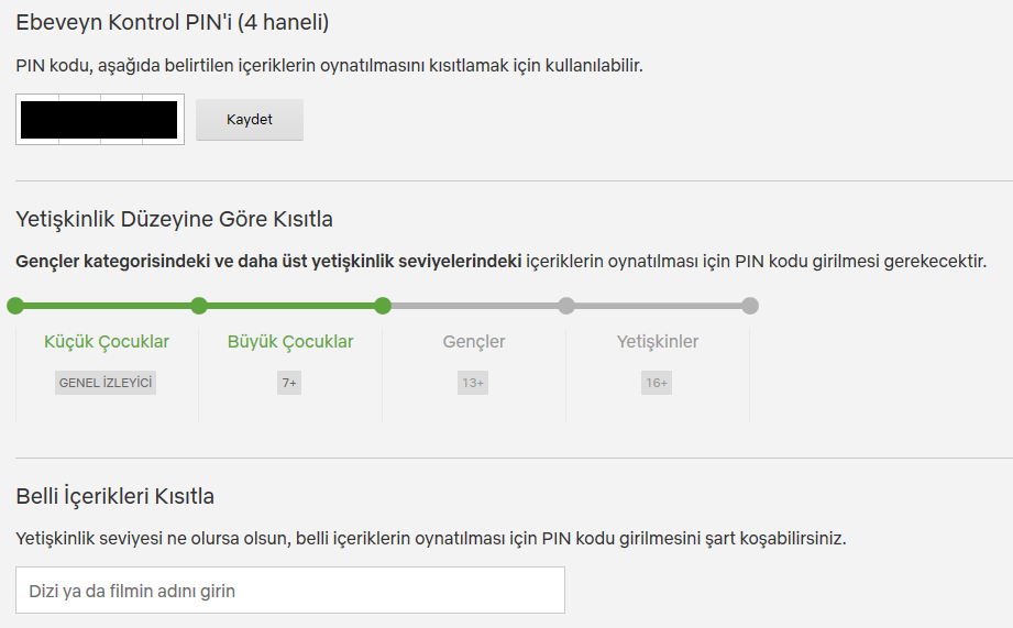 Netflix TR Dizi Listesi