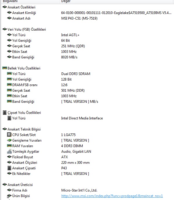  ddr3 rem 600 mhz olarak görünüyor??