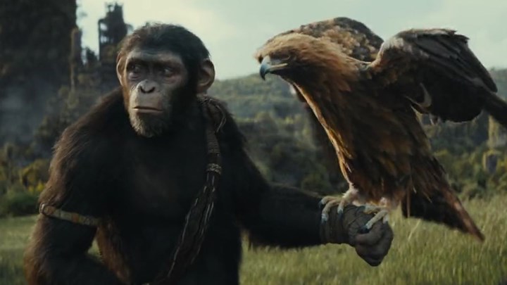 Yeni Maymunlar Cehennemi’nden harika fragman: Kingdom of the Planet of the Apes