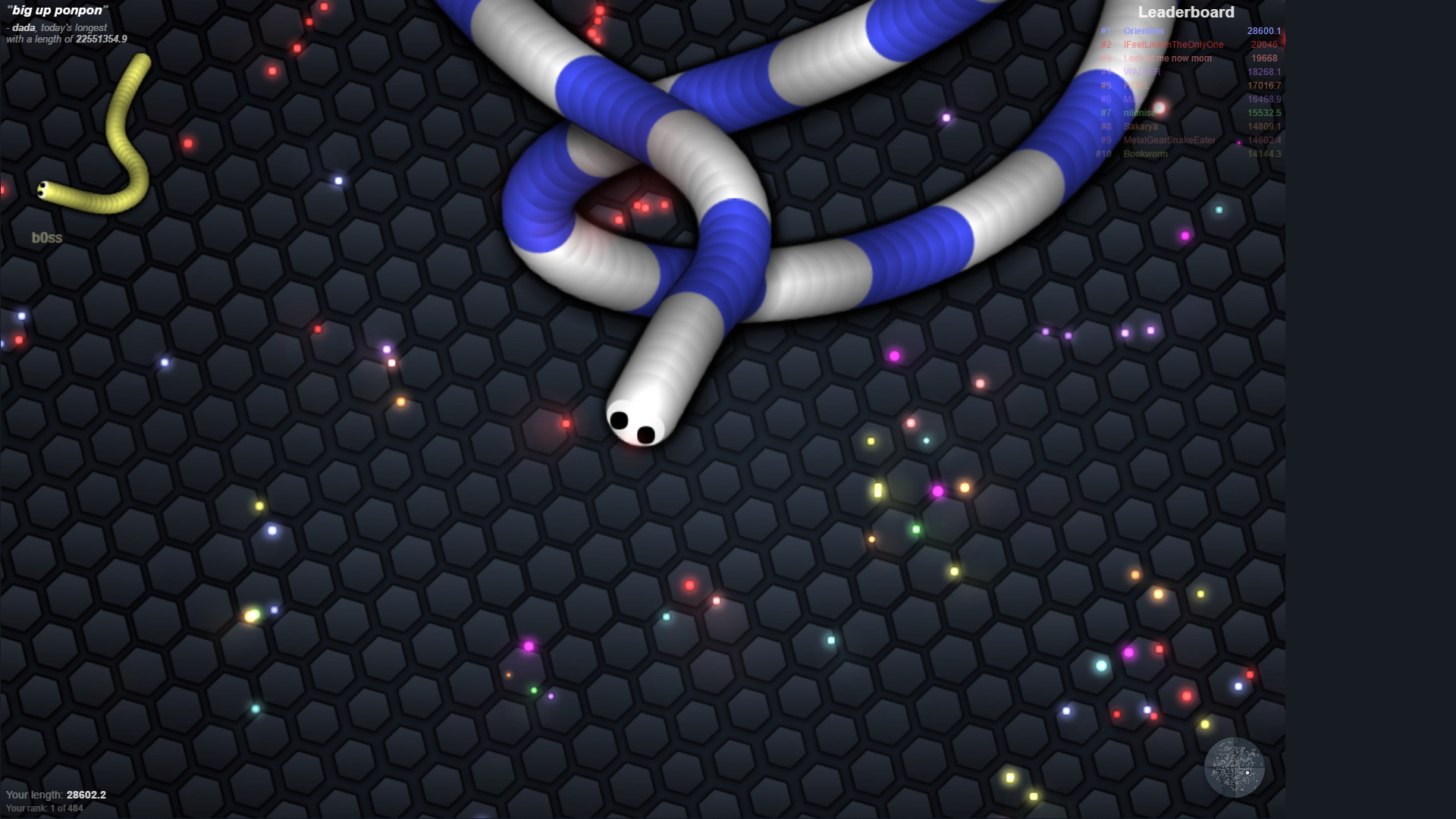 Slither io steam фото 97