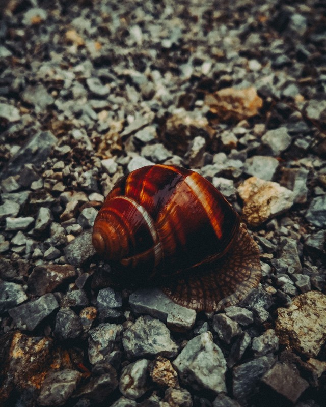 [SERGİ] Cep Telefonu Fotoğrafçılığı