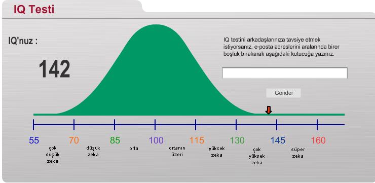  IQ Testi