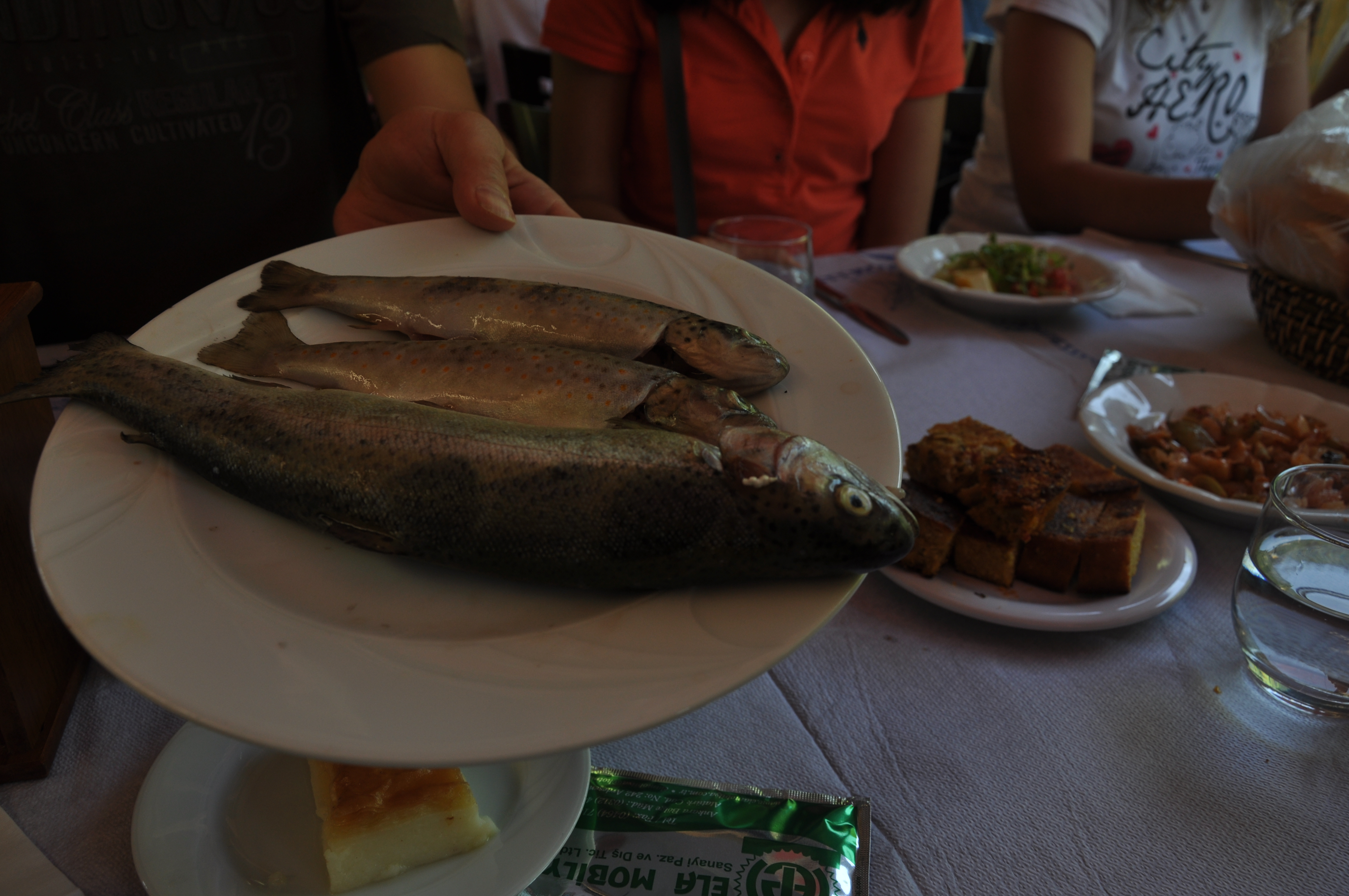  Araba ile İstanbul'dan Karadeniz Turu (Tamamlandı fotolar ekleniyor)