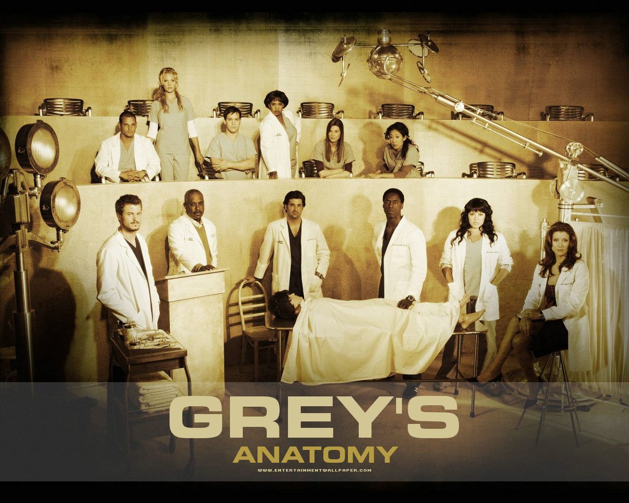  Grey's Anatomy (2005)