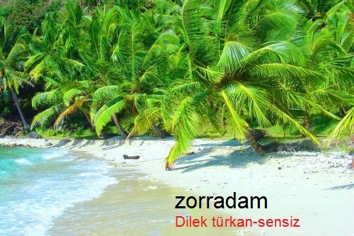  27.DH ŞARKI YARIŞMASI(kazanan Gokalp.)