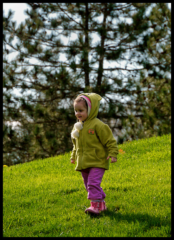  Canon 7D vs Canon 600D vs Panasonic GH1(2) fotoğraflı boyut karşılarştırması
