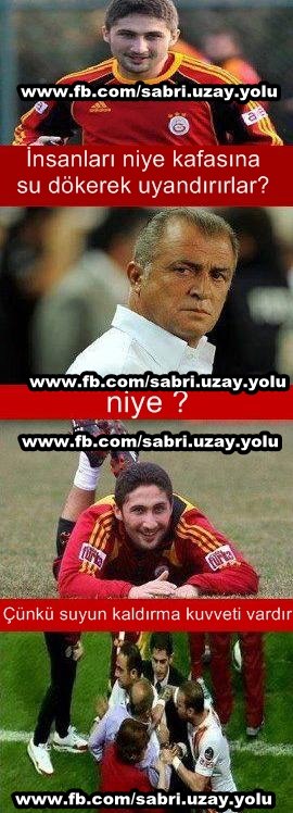  REYİZ GEYİKLERİ