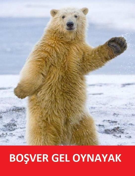  Çirkin Erkek Estetik Operasyonlarla Yakışıklı Olabilir Mi?